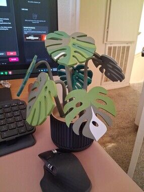 Tropical Monstera Coaster Set of 6 | Plant Lover Decor